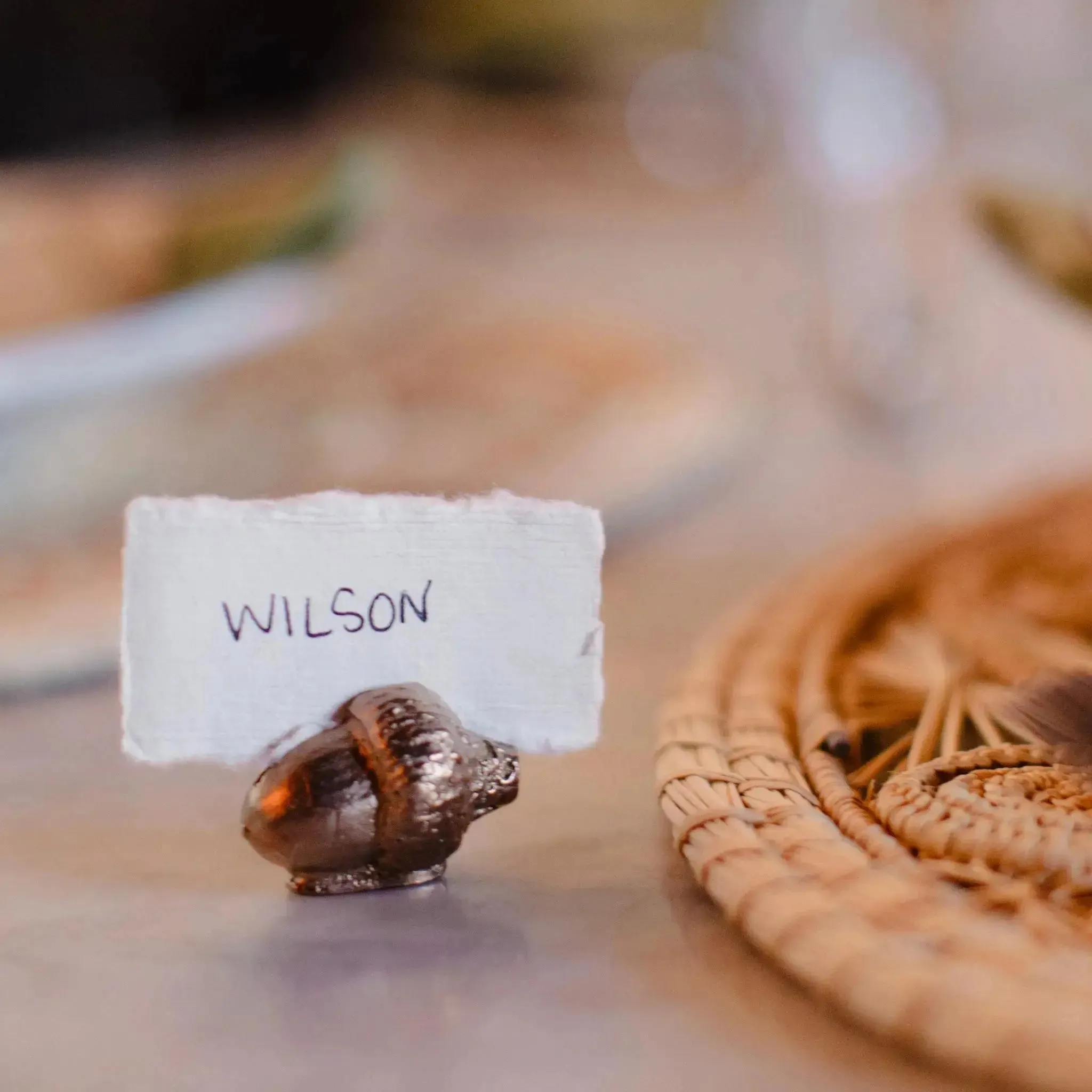 Acorn Place-Card Holders (Set of 4)