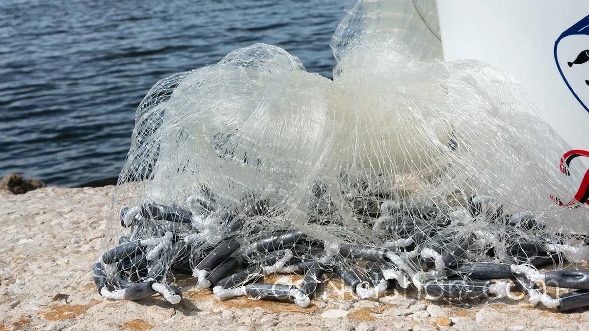 Bait Buster Menhaden Cast Nets CMN-BB8, 8 ft. Radius, 5/8" Sq. Mesh