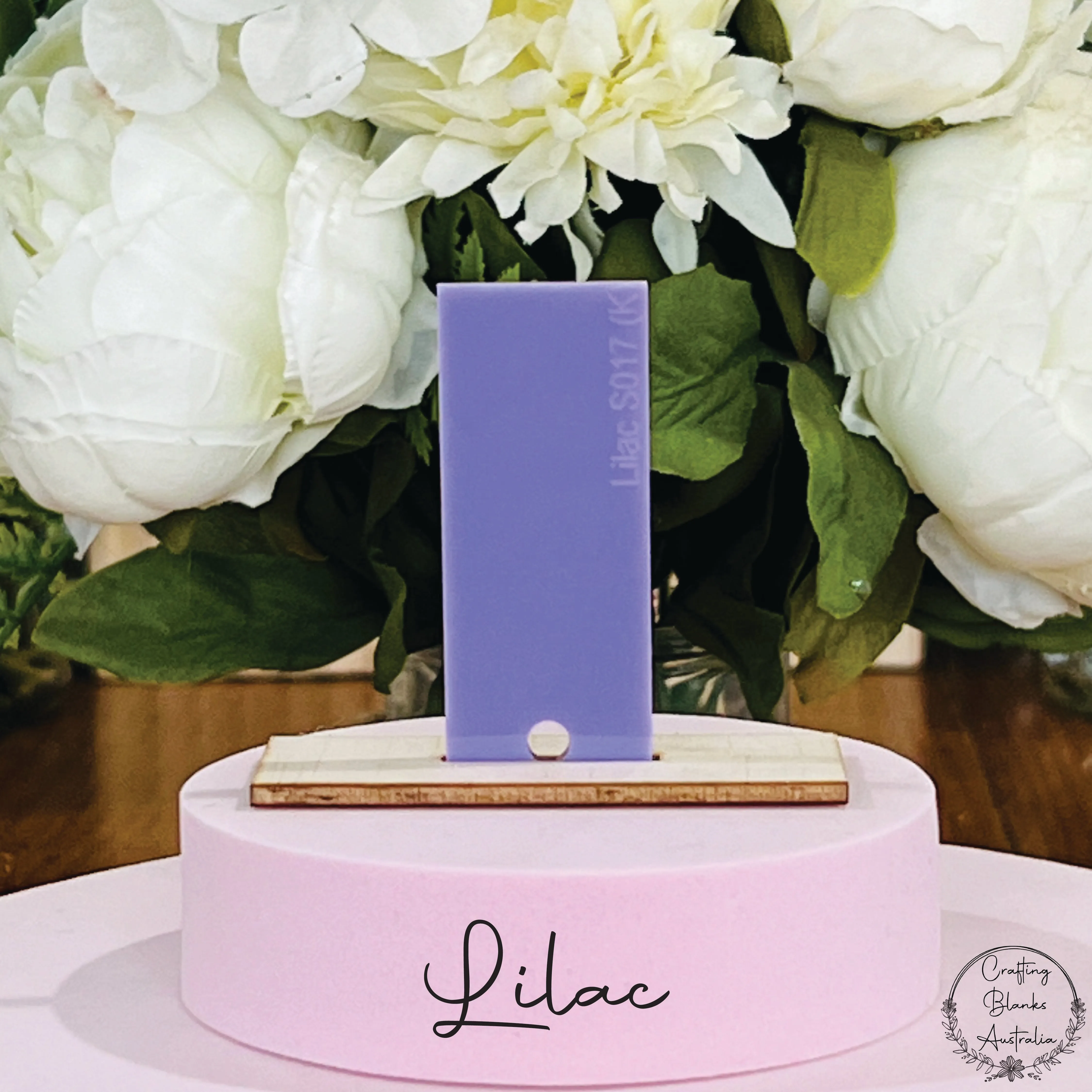 Bunny • Gift Card Holder • 100mm