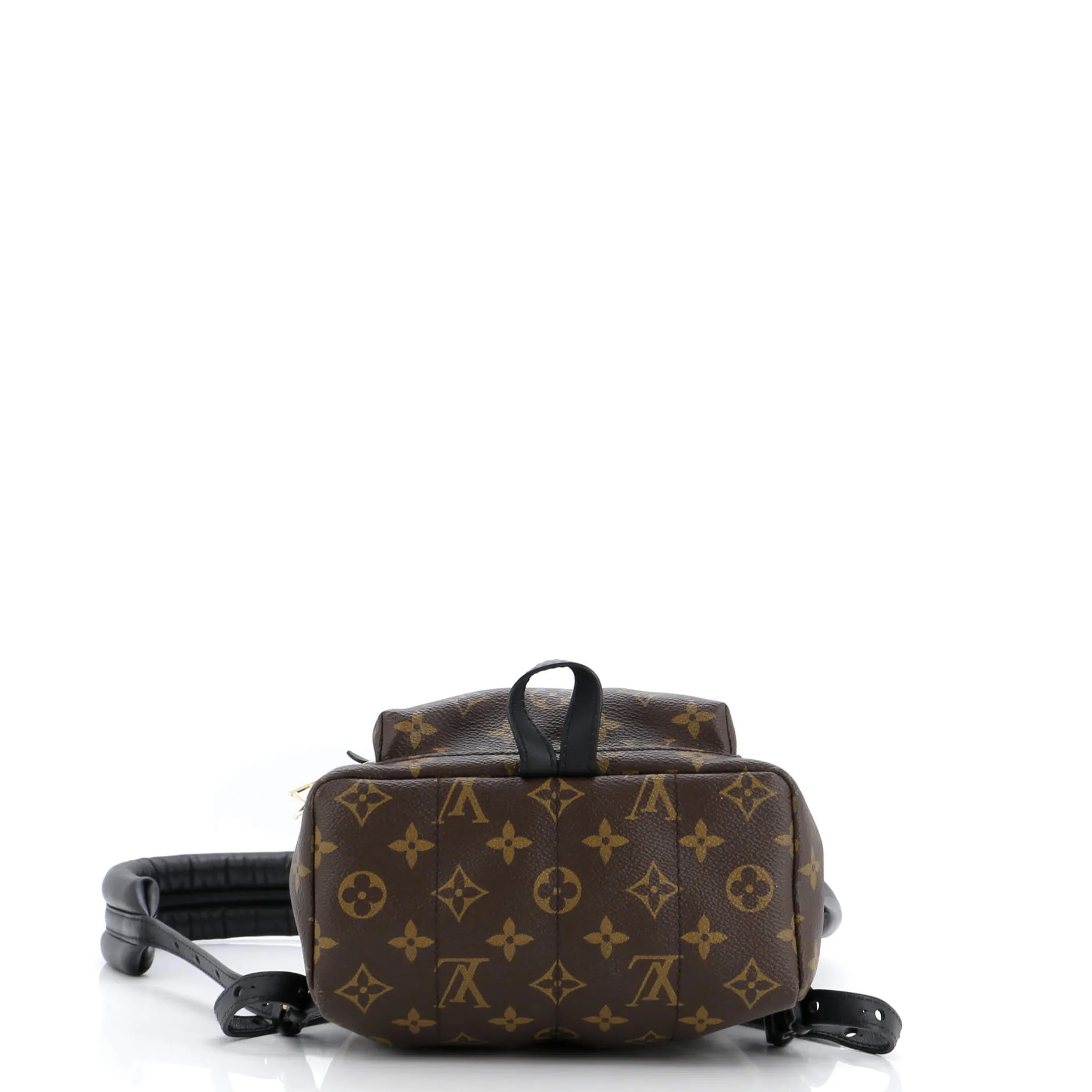 Designer Palm Springs Backpack Monogram Canvas PM