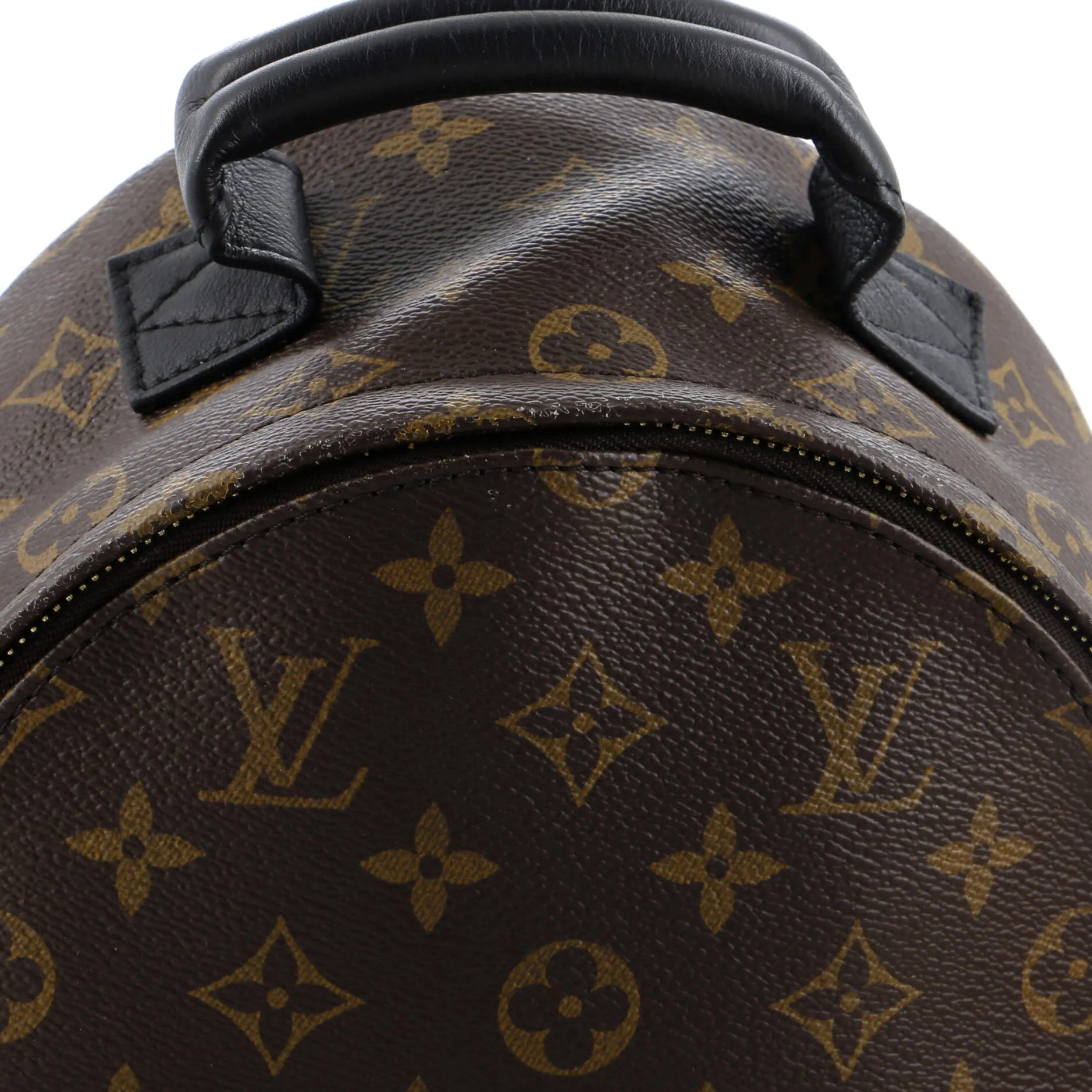 Designer Palm Springs Backpack Monogram Canvas PM