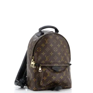 Designer Palm Springs Backpack Monogram Canvas PM