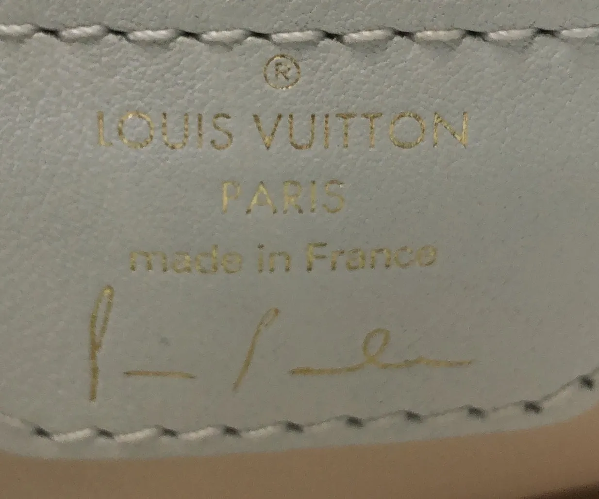 Designer Paola Pivi ArtyCapucines Bag Printed Leather MM