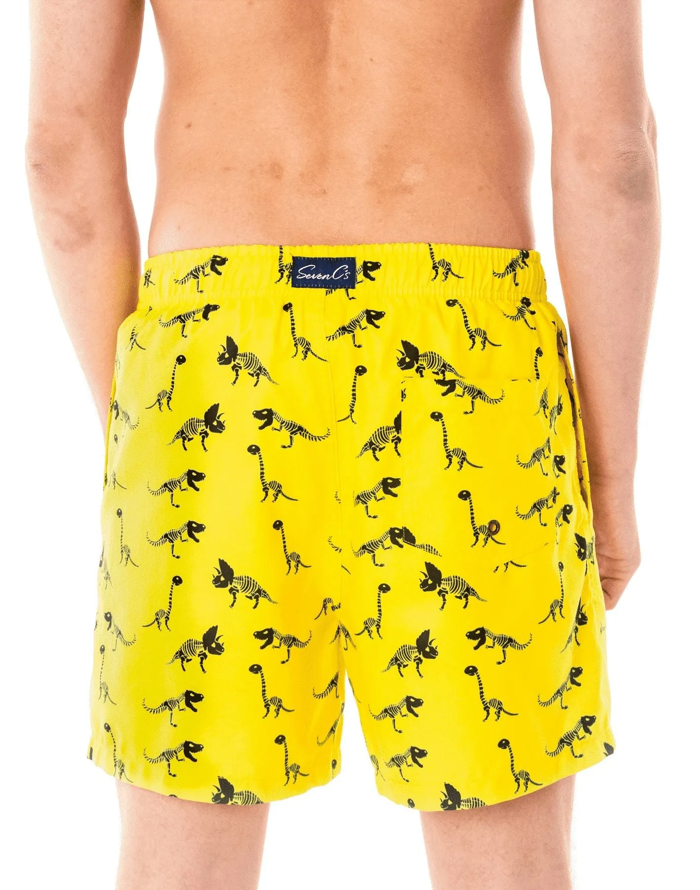 Dinosaur Swim Shorts