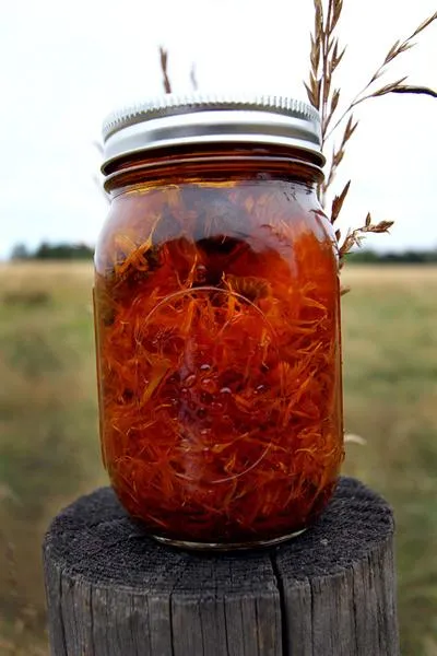 Double Strength Calendula Oil