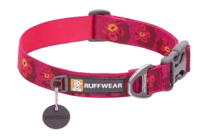 Flat Out Collar