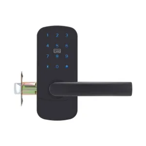 Focus Entrance Right Smart Door Locks - Door Mount - 6" Zinc/Matt Black