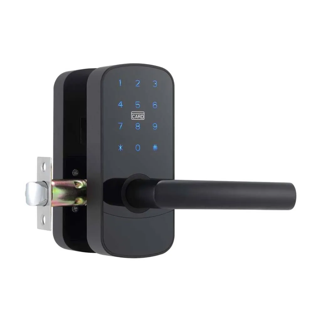 Focus Entrance Right Smart Door Locks - Door Mount - 6" Zinc/Matt Black