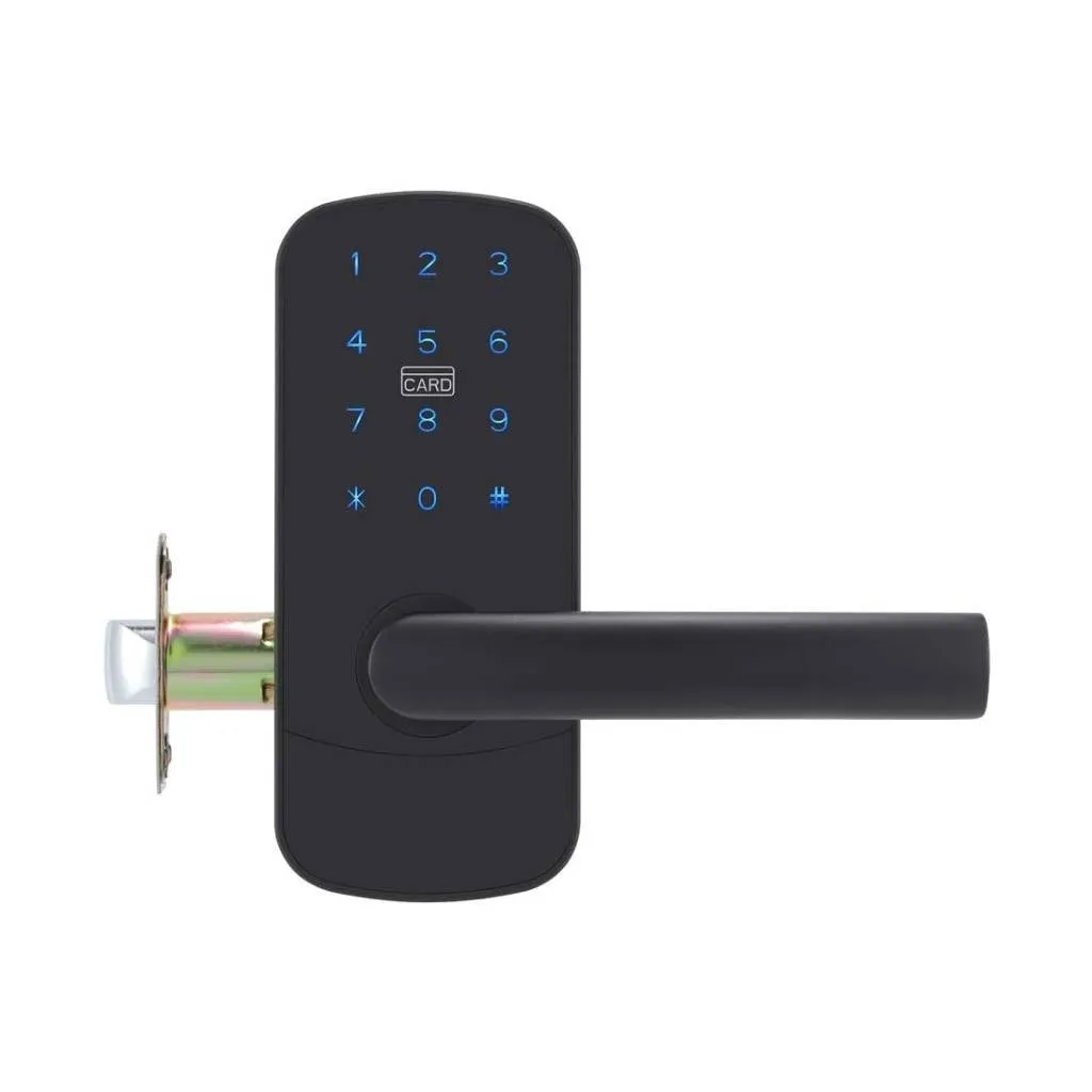 Focus Entrance Right Smart Door Locks - Door Mount - 6" Zinc/Matt Black