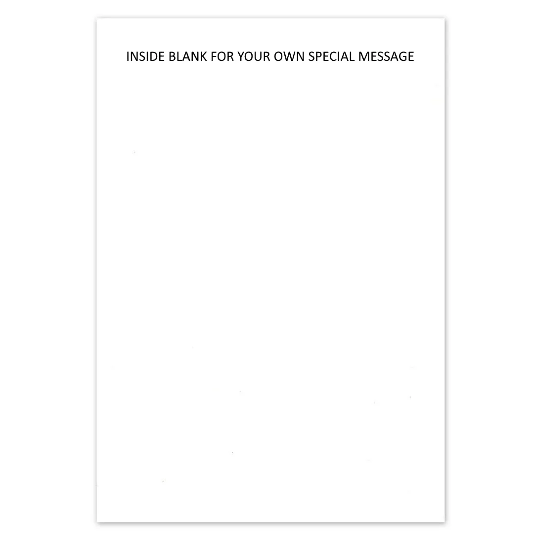 Funny Back to the Future Birthday Card - You're older than the Doc