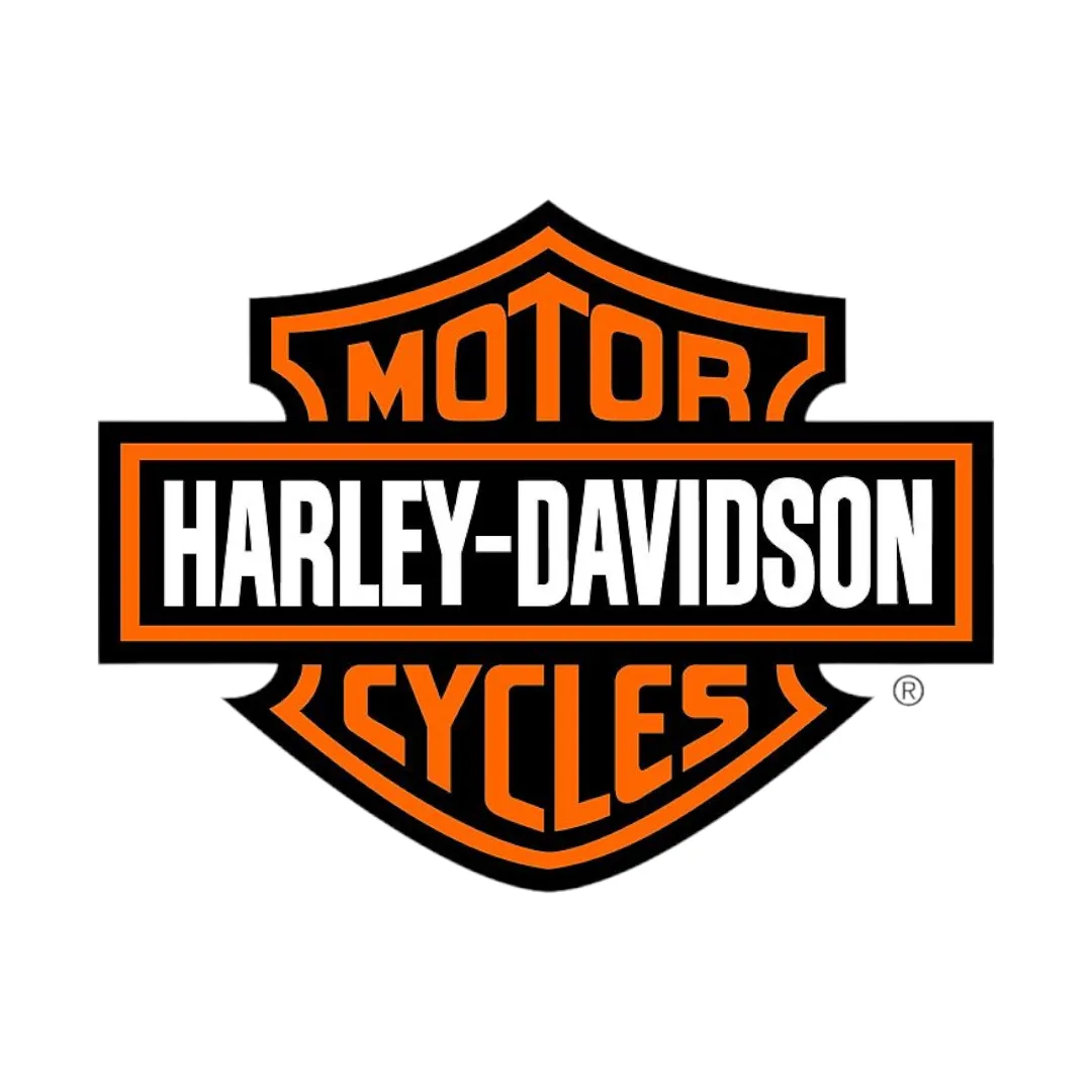Harley-Davidson® Passenger Grab Strap Handle For Sundowner