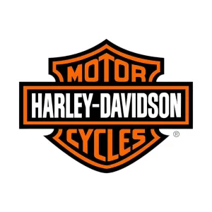 Harley-Davidson® Passenger Grab Strap Handle For Sundowner