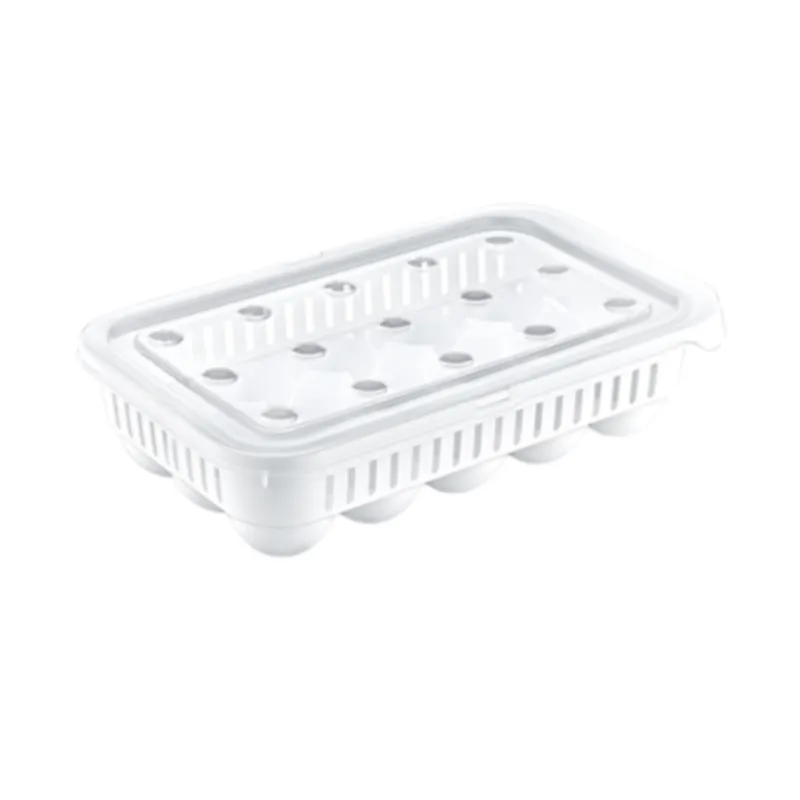 Hobby Life 15 Egg Storage Containers 02 1067