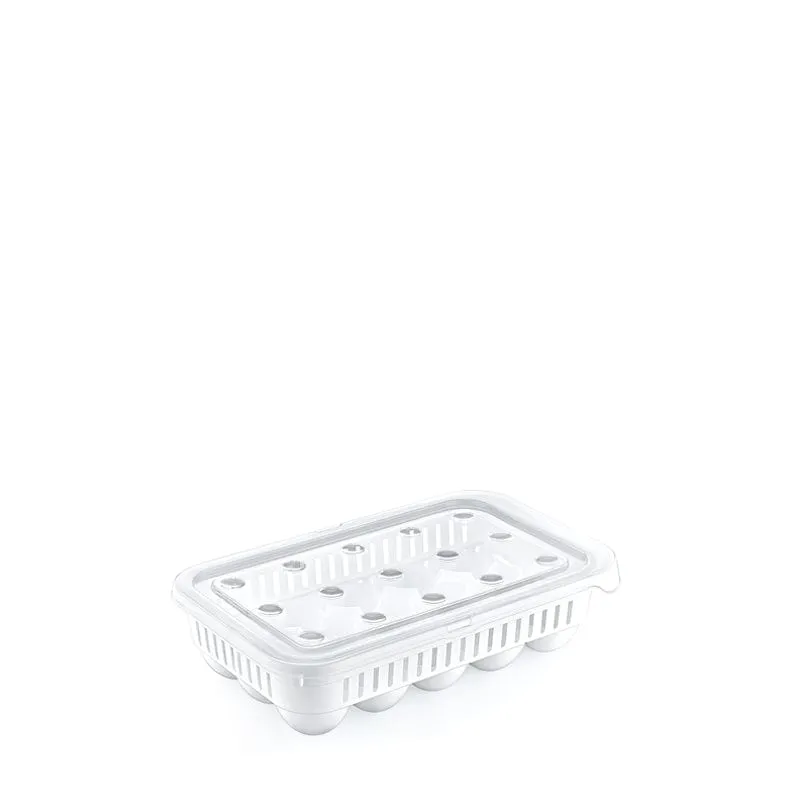 Hobby Life 15 Egg Storage Containers 02 1067