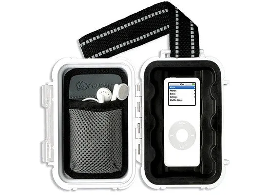 i1010 iPod Case
