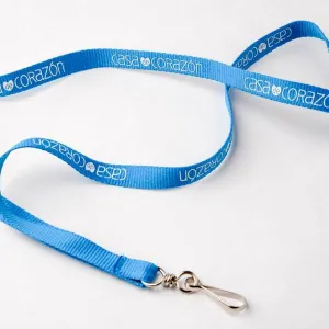 Lanyard