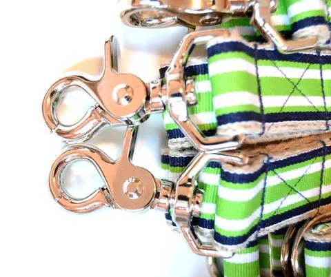 Leashes  1"