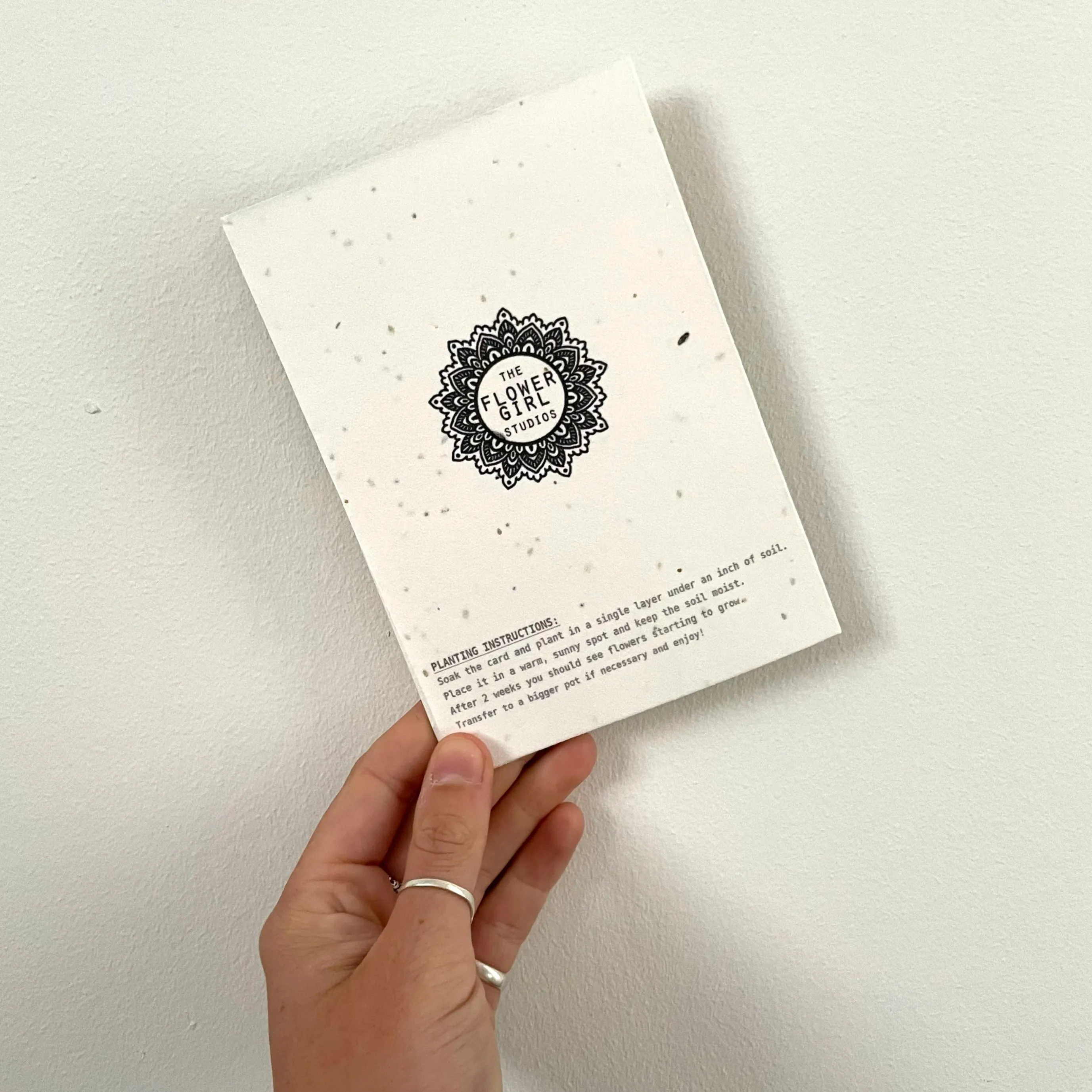 Lemon Seed Card