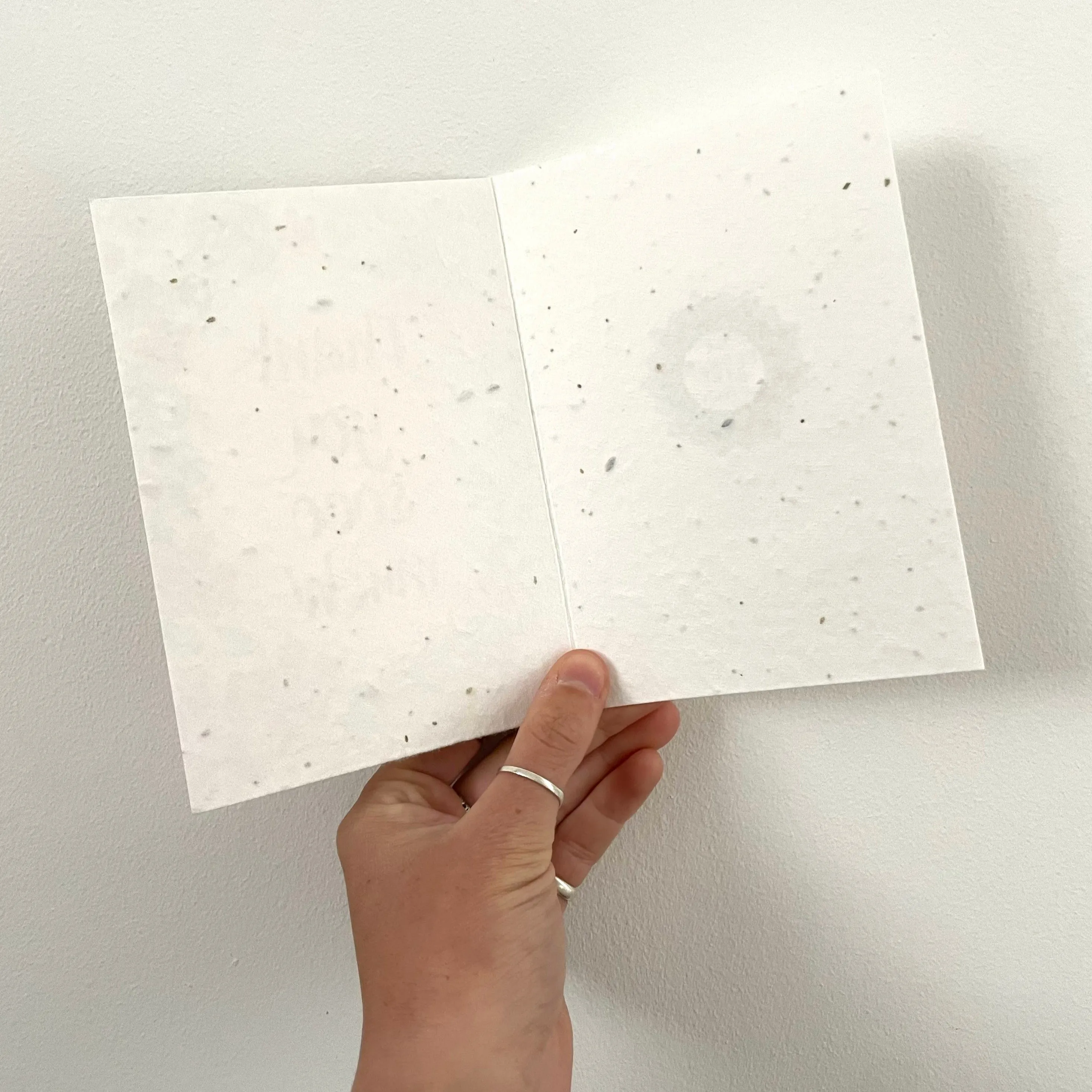 Lemon Seed Card