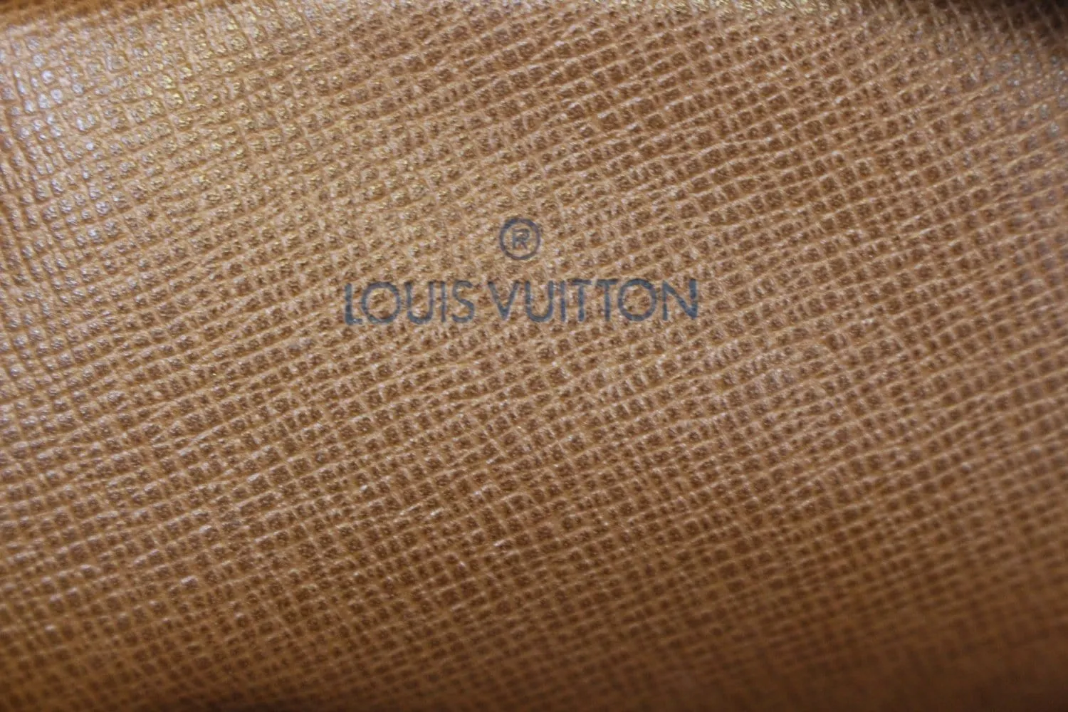 LOUIS VUITTON Monogram Canvas Amazone Crossbody Bag