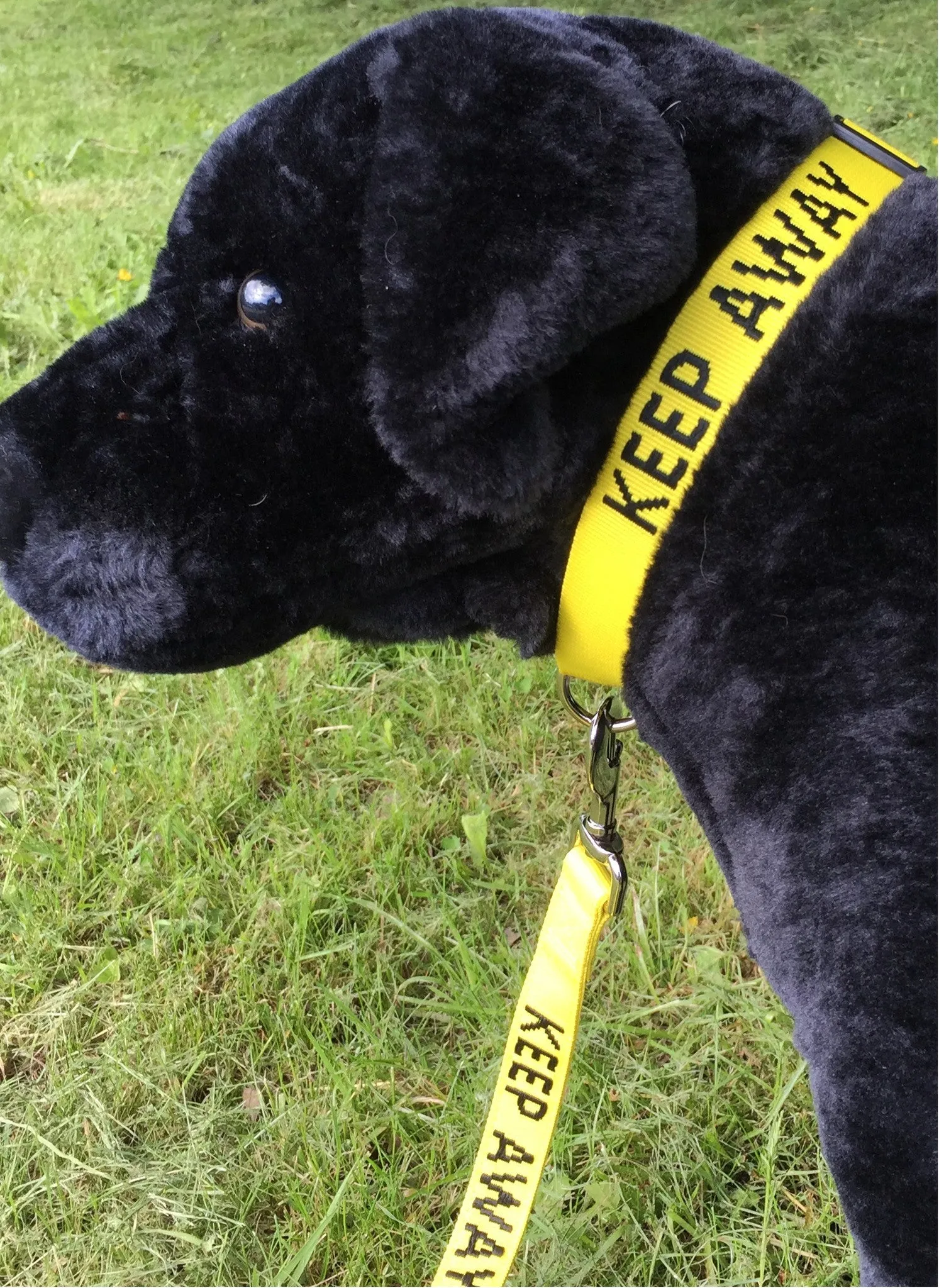 My Anxious Dog Yellow Space Awareness Dog Collar "KEEP AWAY"