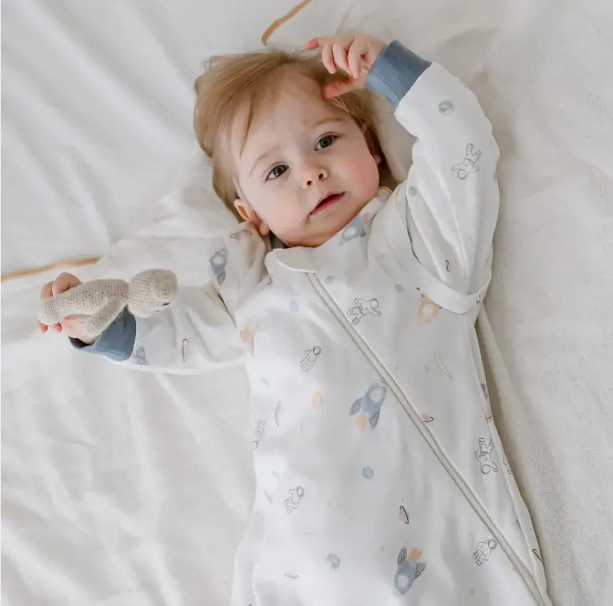 Nest Designs Organic Cotton Removable Long Sleeve Sleep Bag (1.0 TOG)—Up and Away