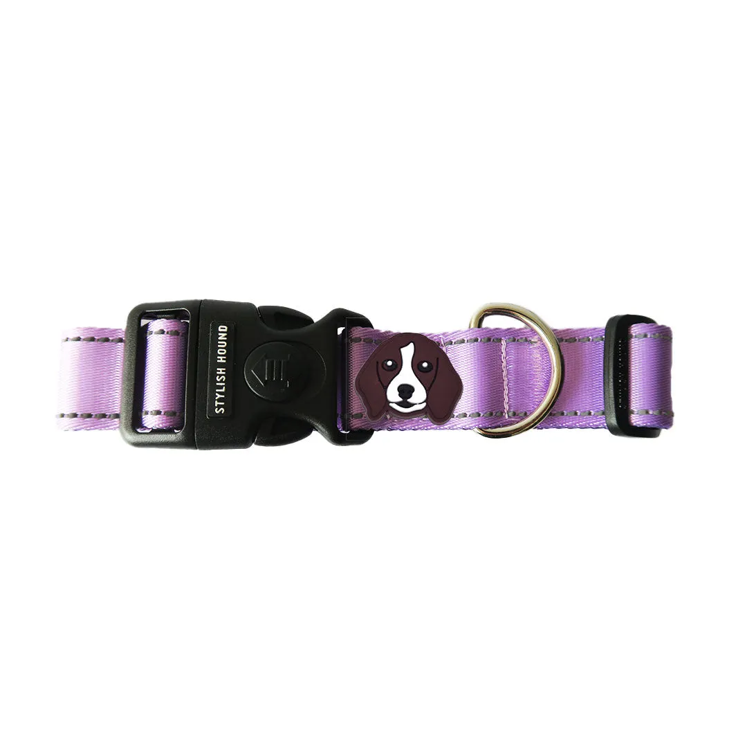 Personalised Walk Kit