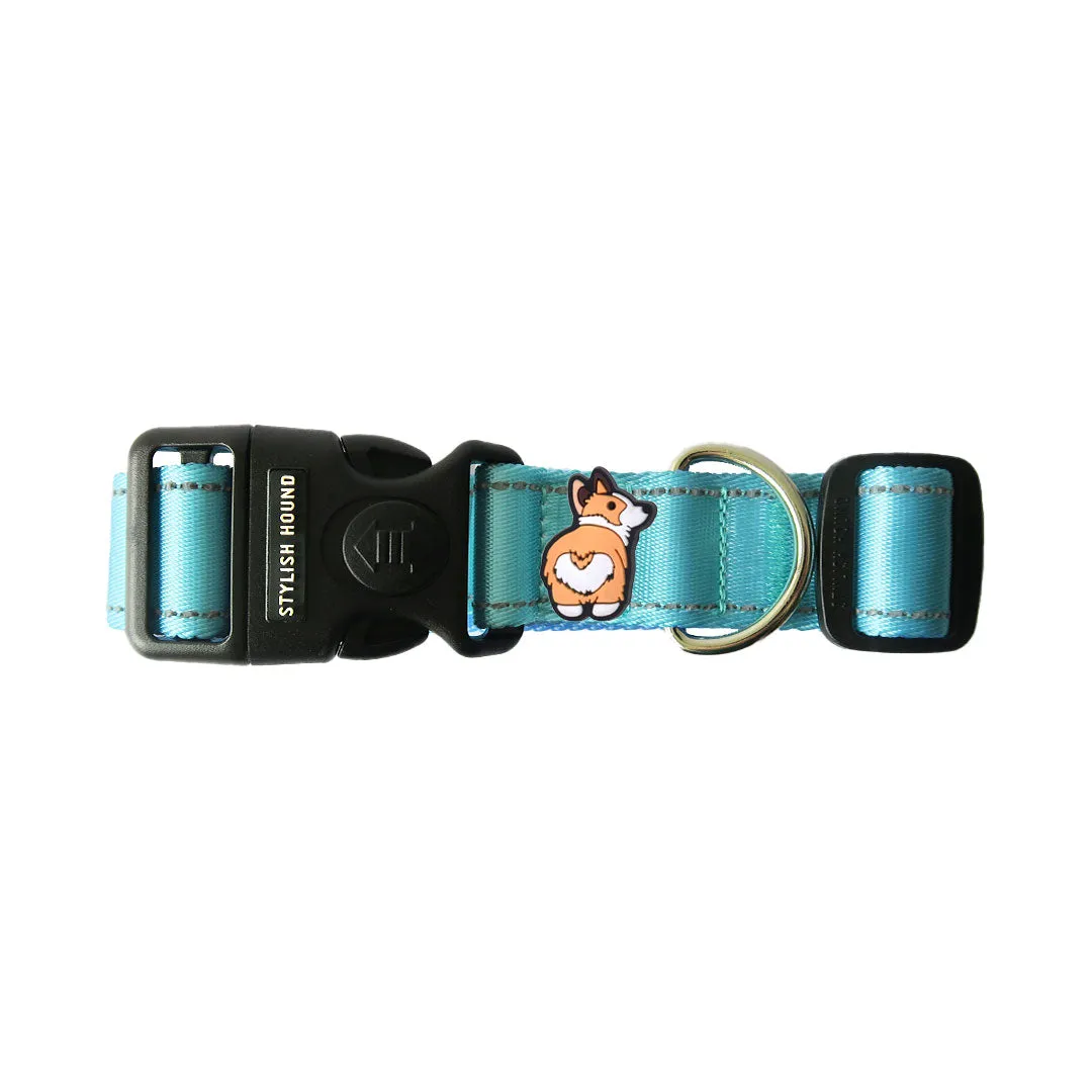 Personalised Walk Kit