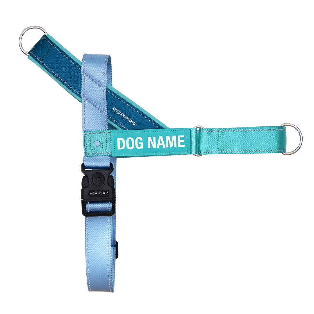 Personalised Walk Kit