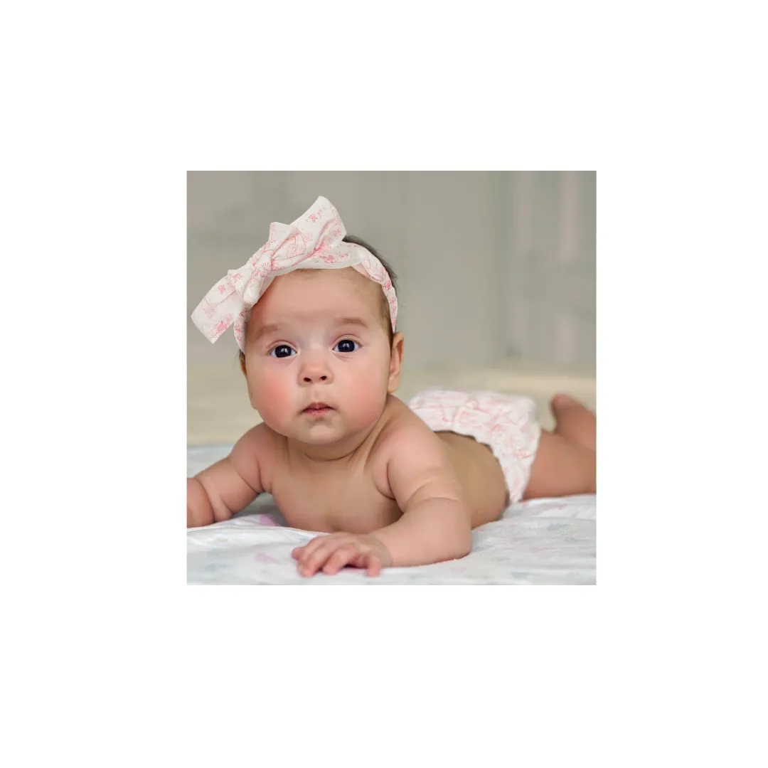 Pink Toile Ruffle Bow Set