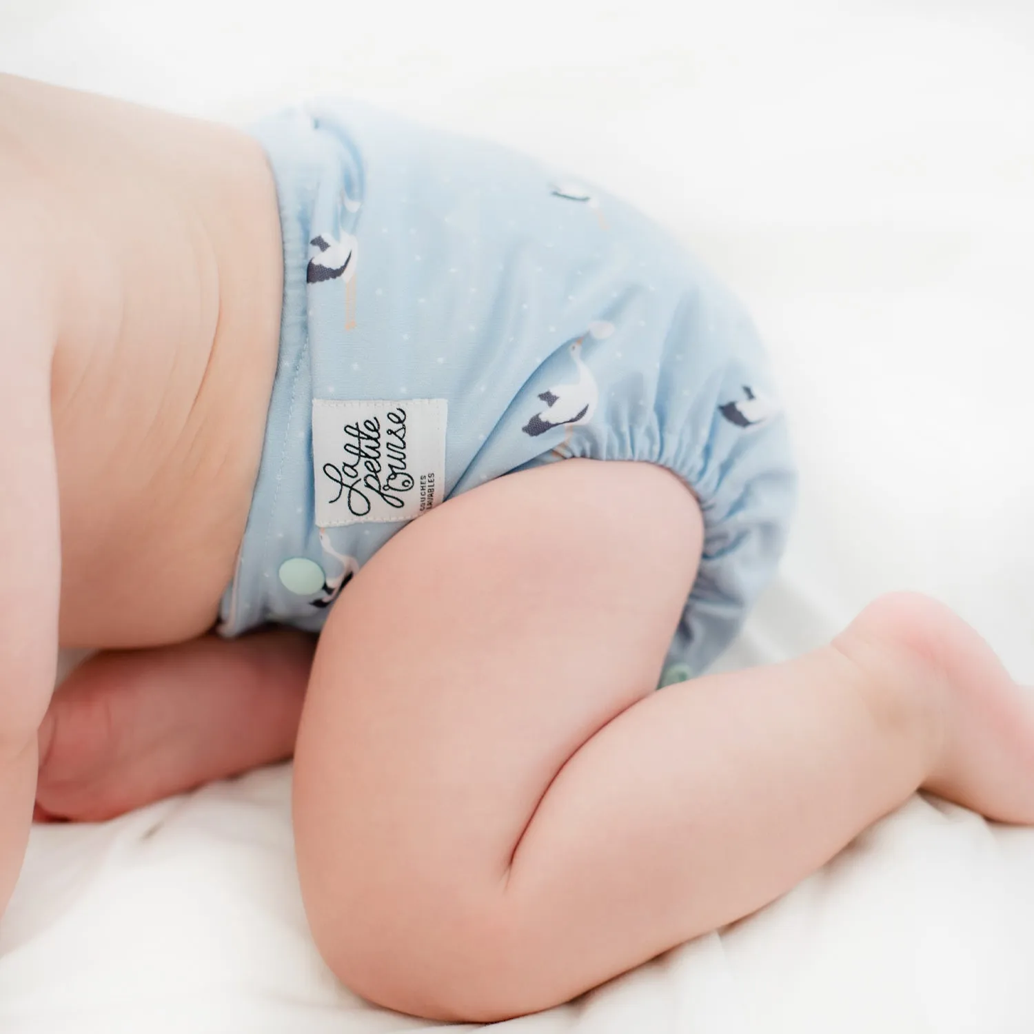 Pocket Diapers - Snap