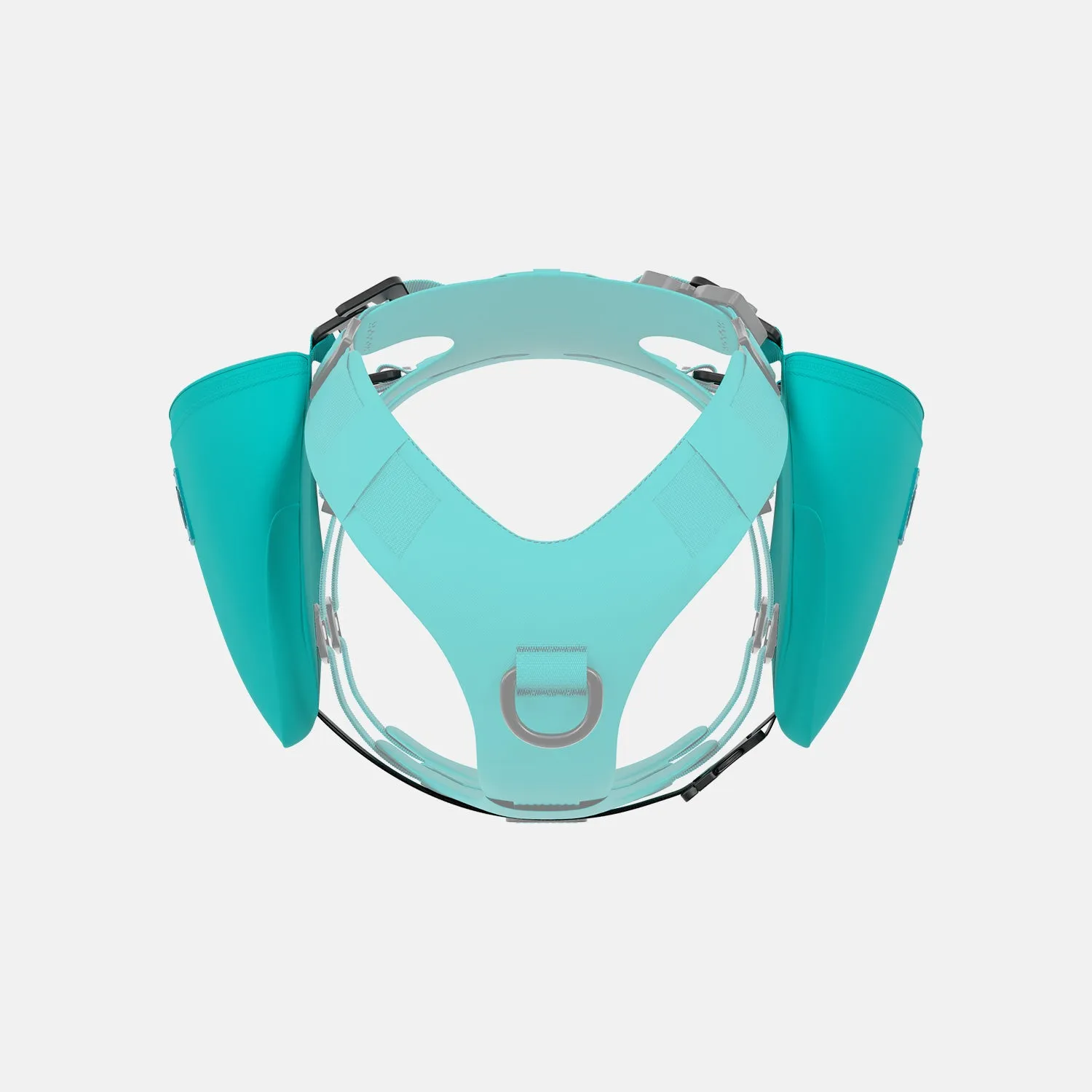 Pouches 001 - Skeena Teal
