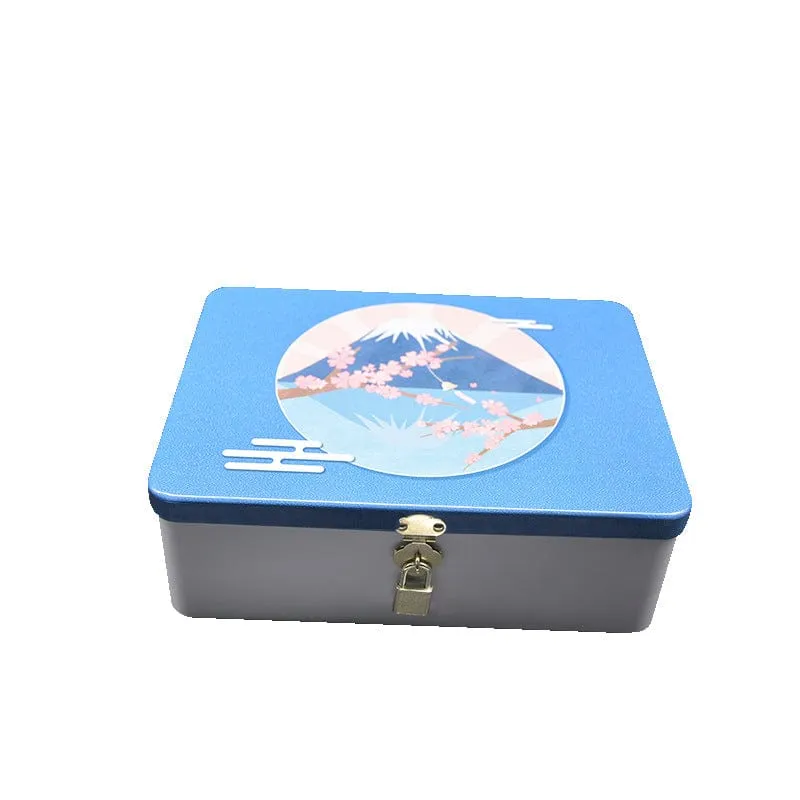 Steel Box for Toy Storage With Lock