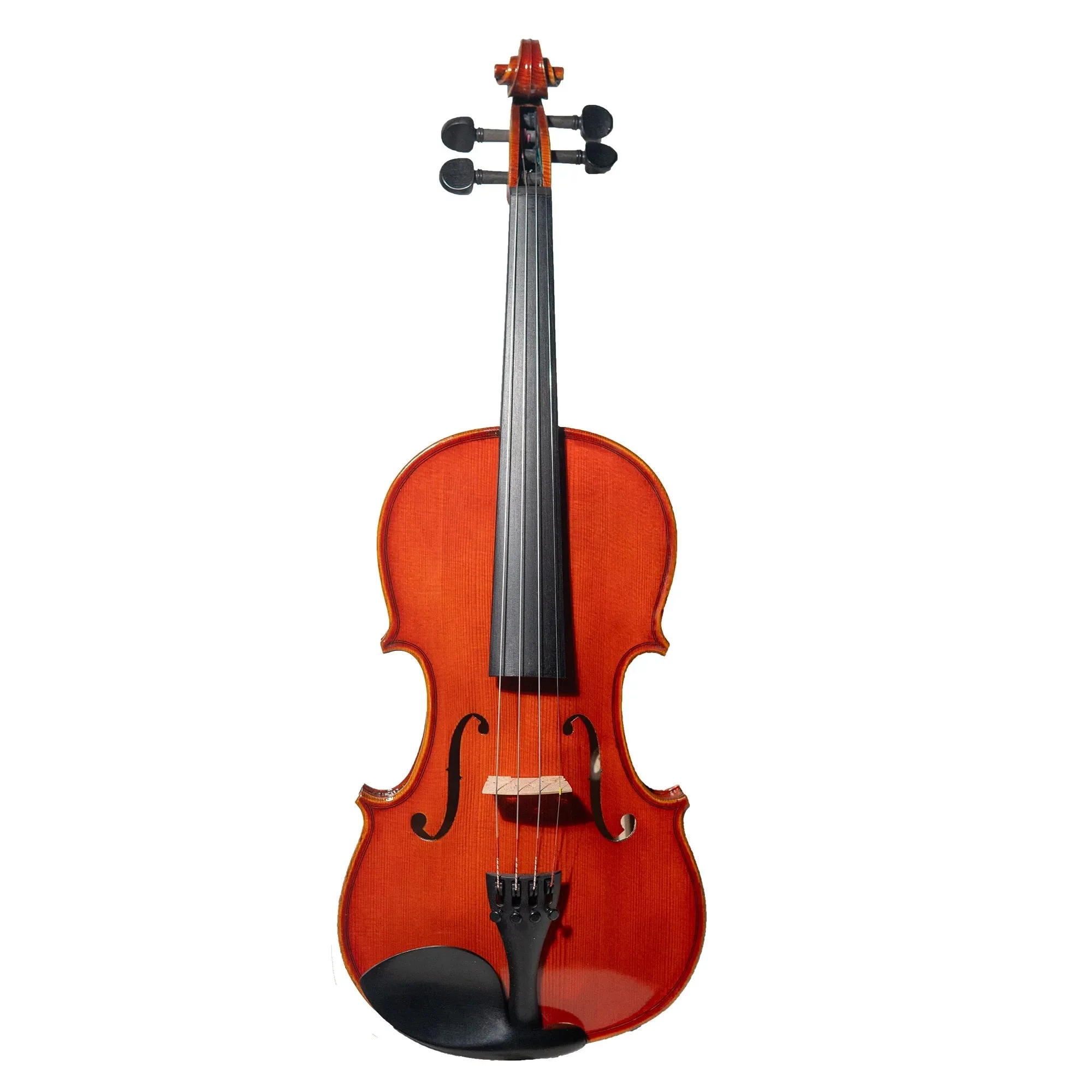 Stentor Anniversary Edition Advanced Violin Outfit, 4/4