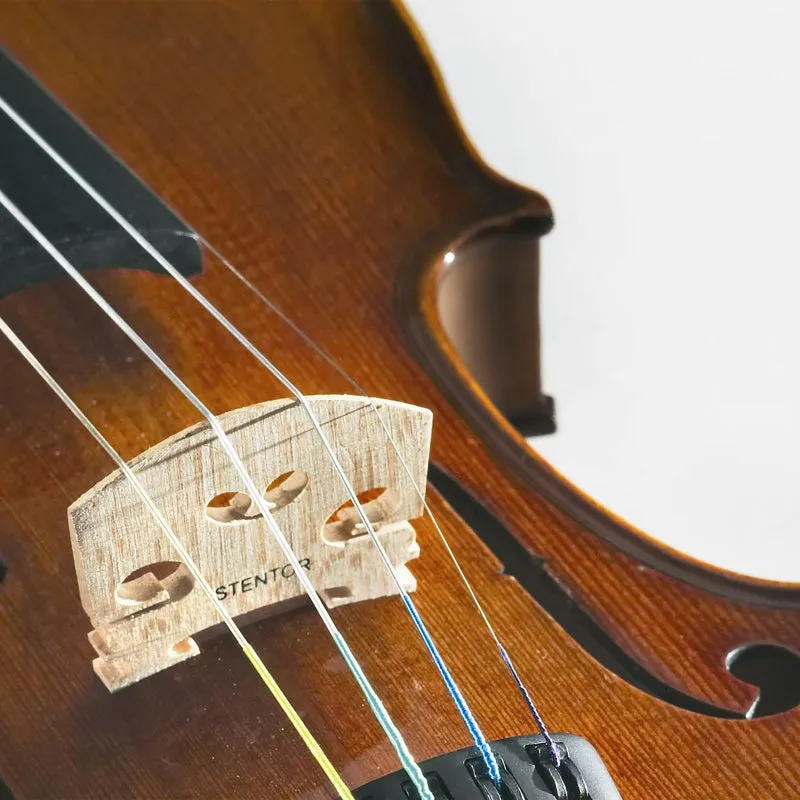 Stentor Student II Violin Outfit with Case & Bow