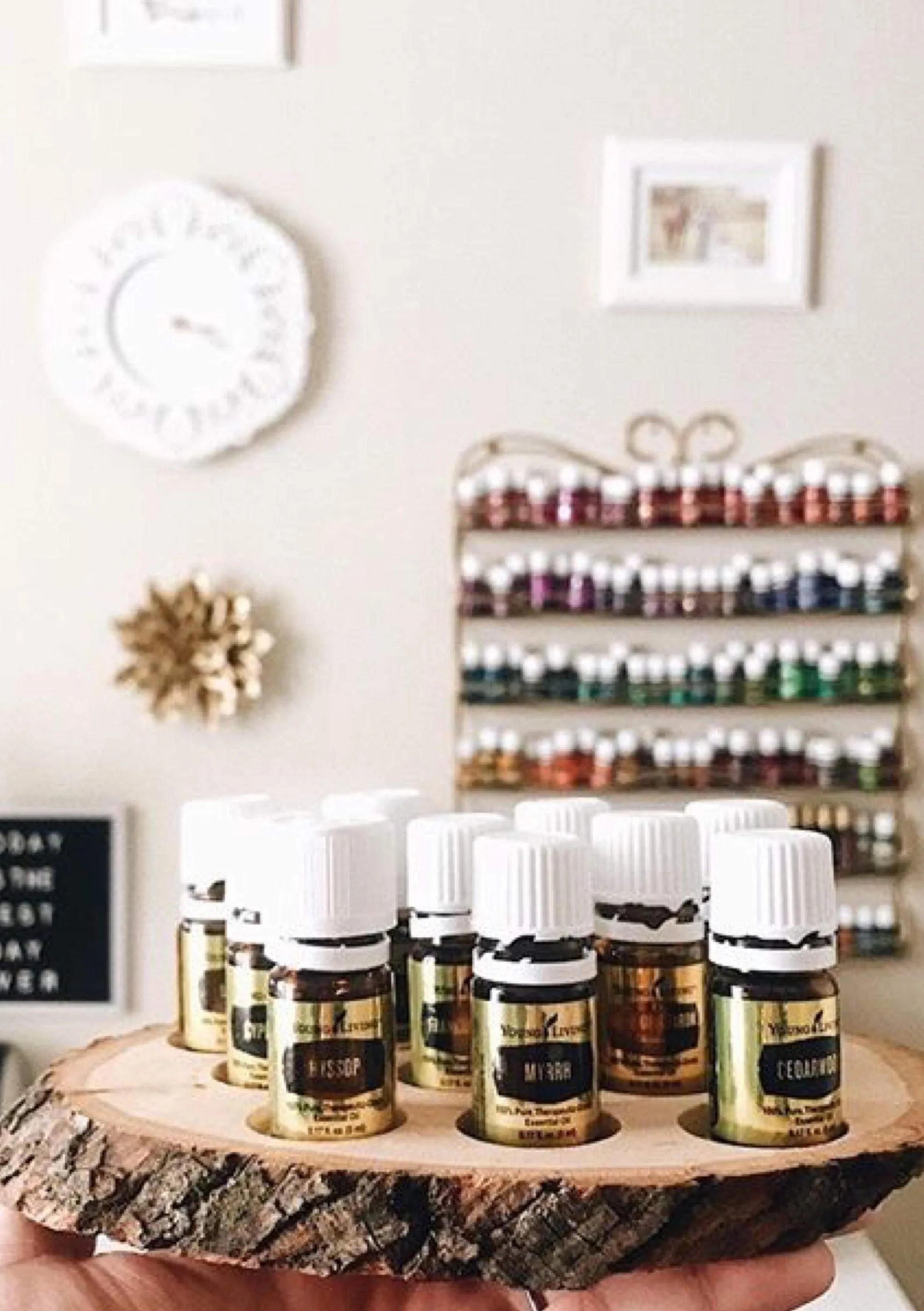 Walnut Essential Oil Wood Slice Organizer