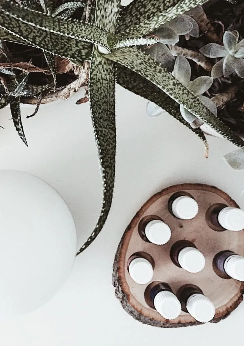 Walnut Essential Oil Wood Slice Organizer