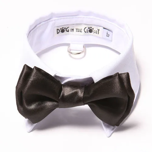 White Shirt Collar   Black Bow Tie