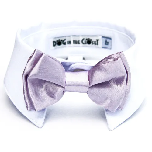 White Shirt Collar   Lilac Bow Tie