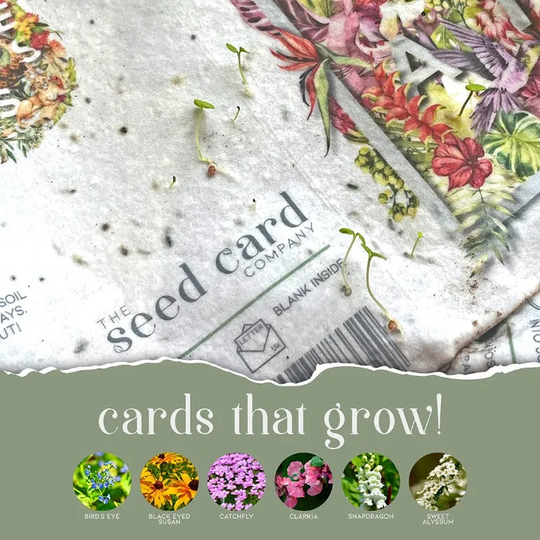 'Yay, It's your birthday' plantable card